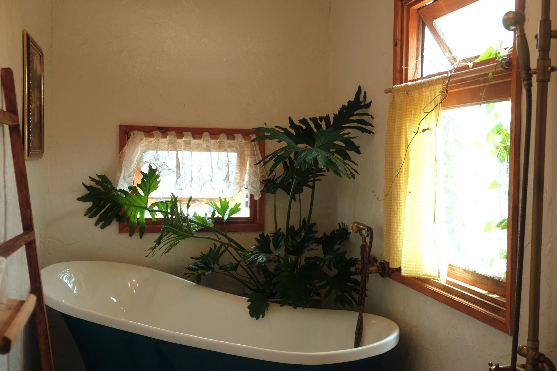 SiA Cottage - Đà Lạt Homestay