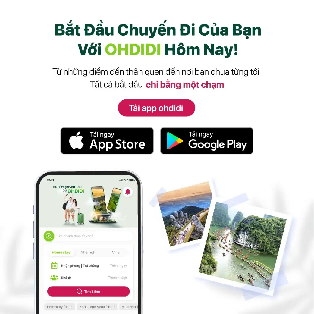 Tải app Ohdidi ngay