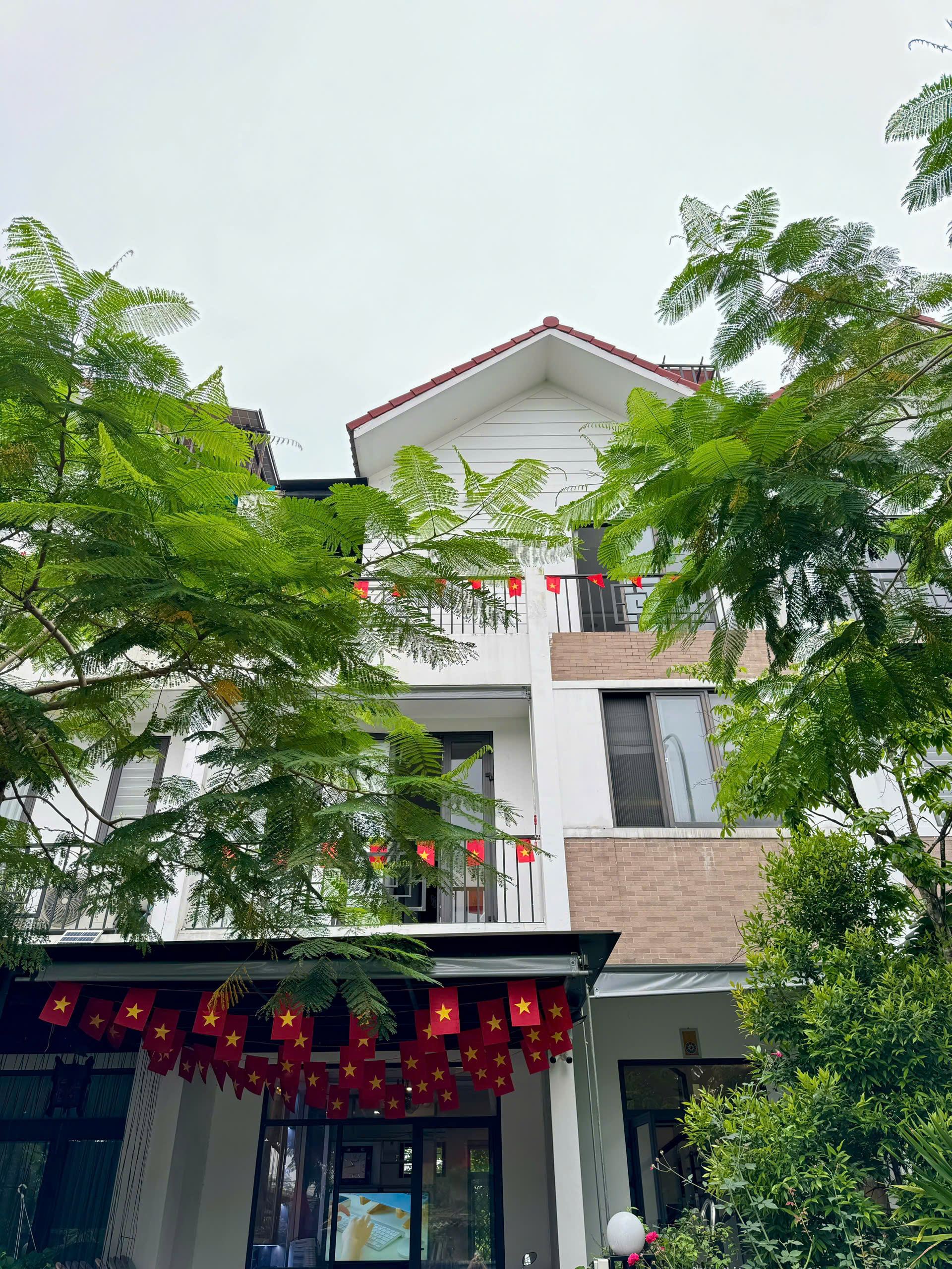 Bliss Homestay Huế