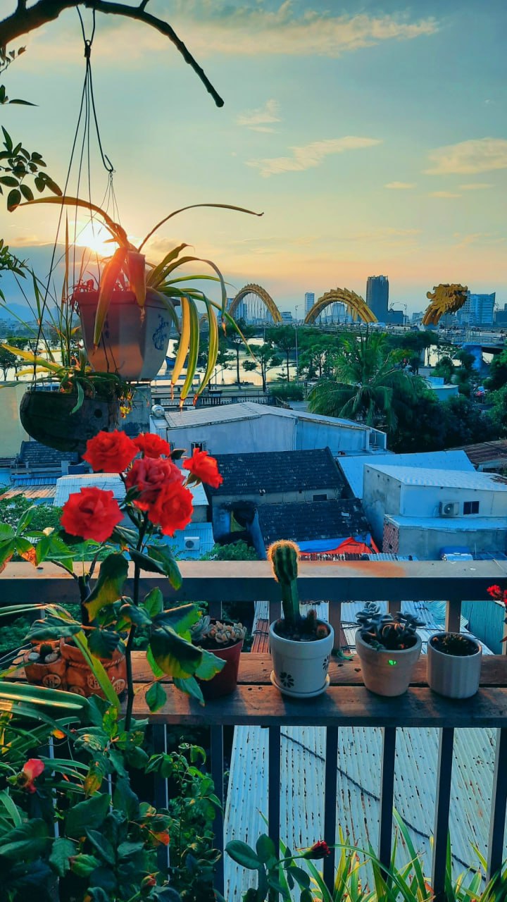 Hình ảnh đánh giá 3