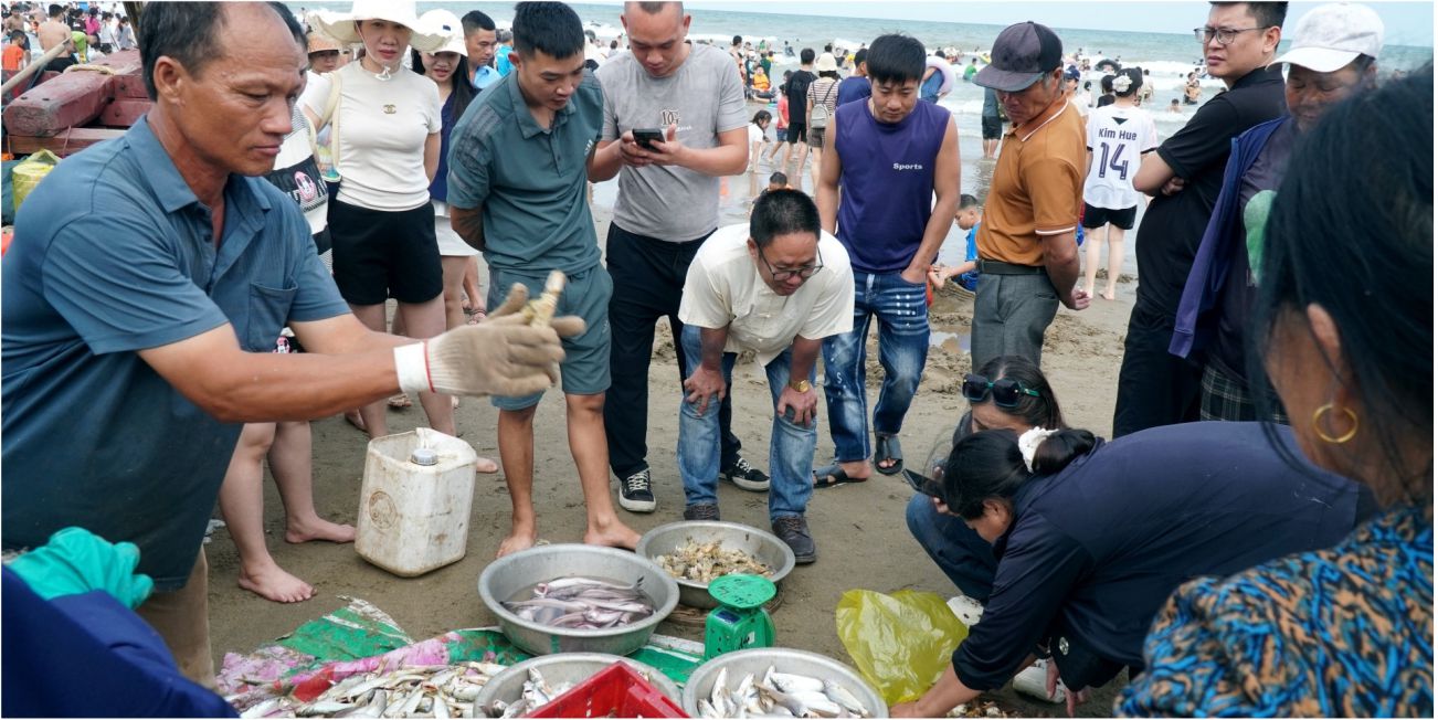 Phước Hải có gì chơi