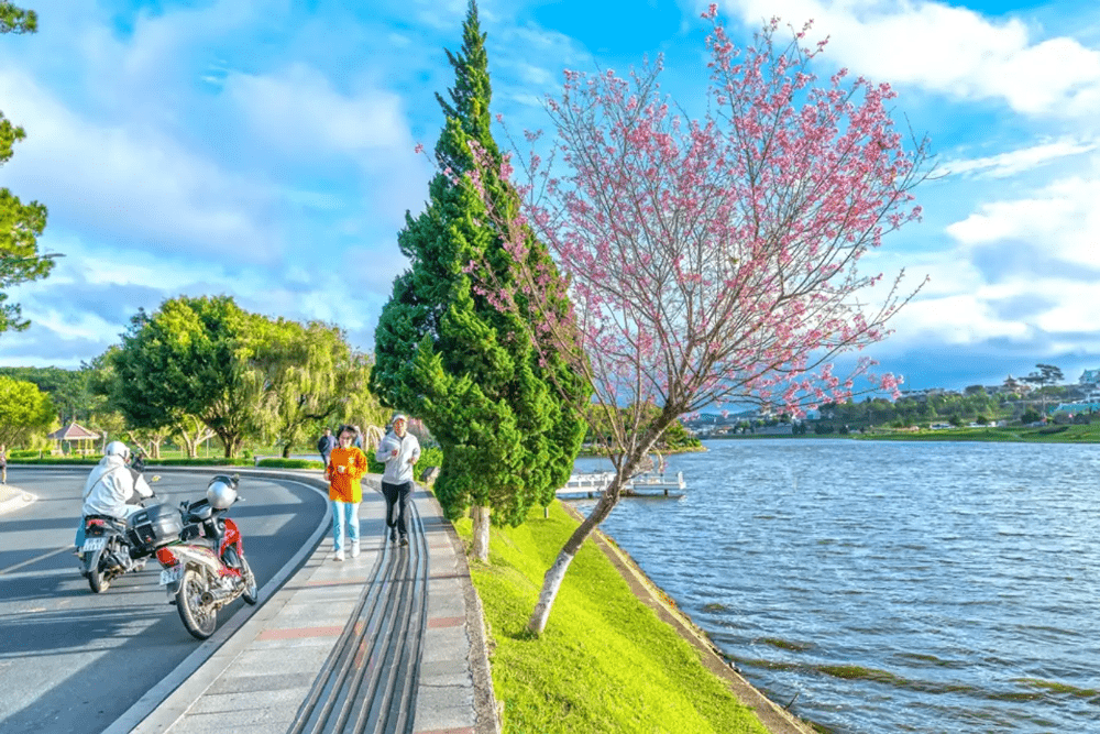 du lịch đà lạt mùa nào đẹp nhất