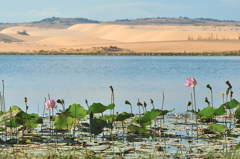 review phan thiết 2 ngày 1 đêm