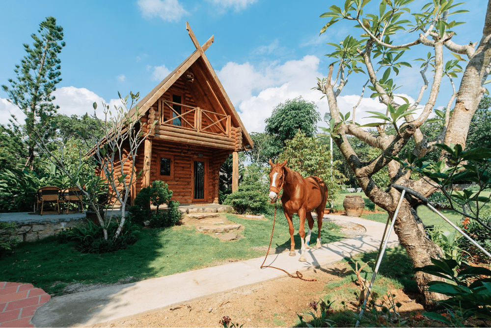 homestay vũng tàu gần bãi sau giá rẻ