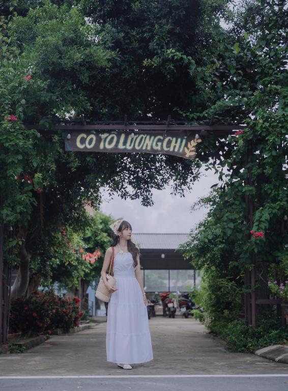 Lương Chi Cô Tô Nguyên Căn