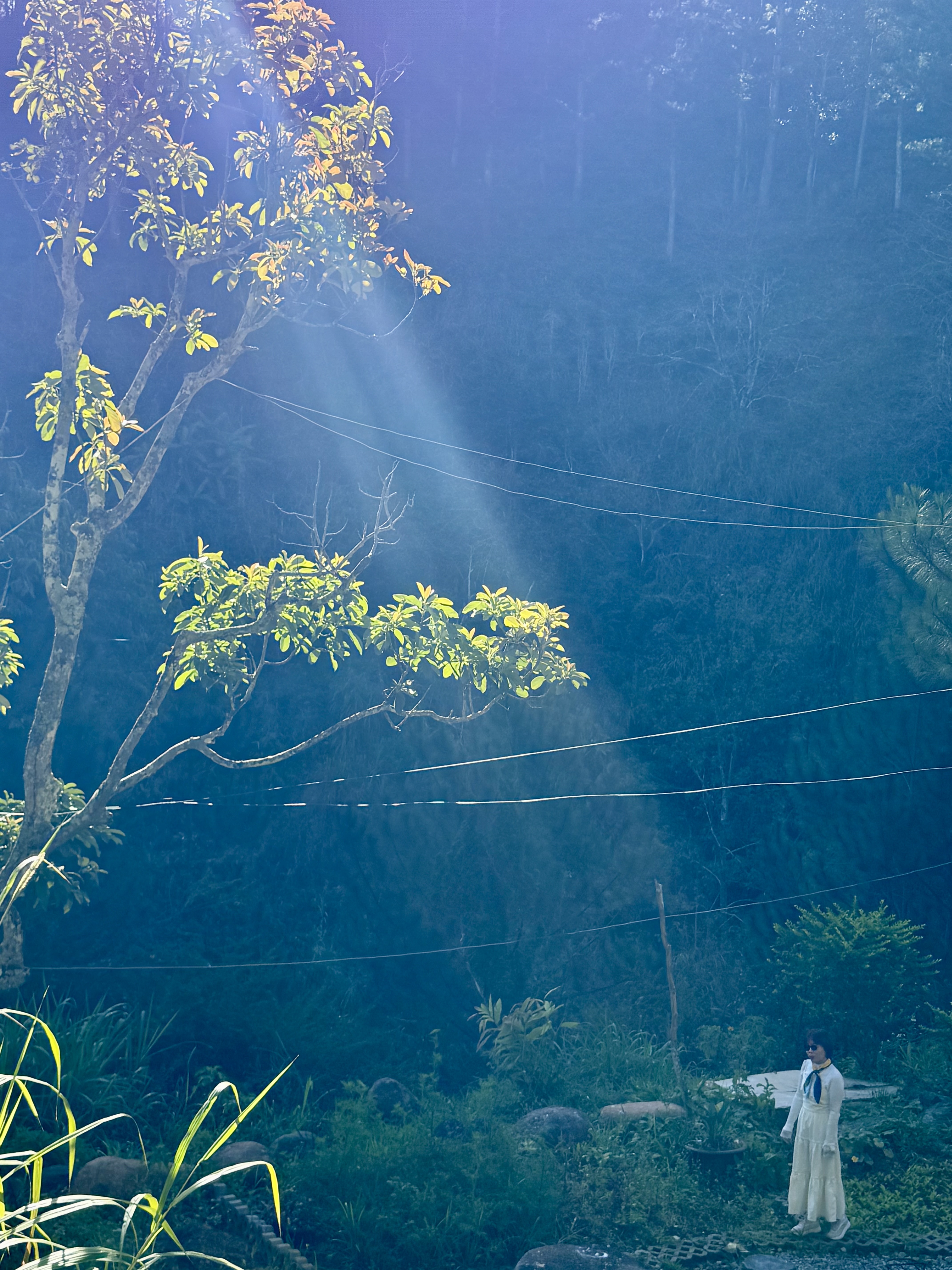 Hình ảnh đánh giá 1