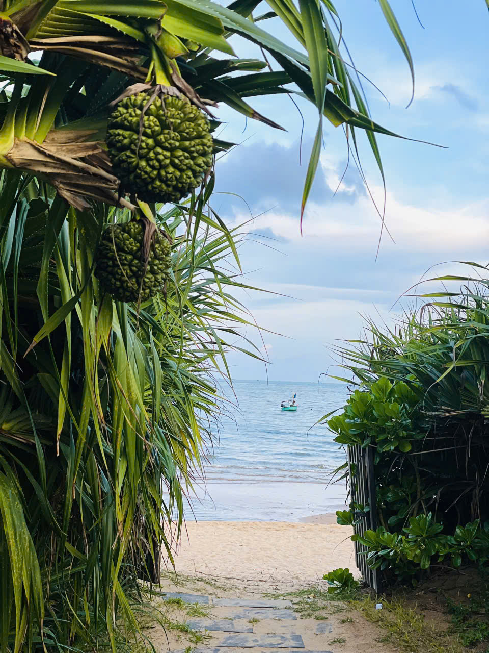 Windy Beach House Tầng 2 - Ảnh 6