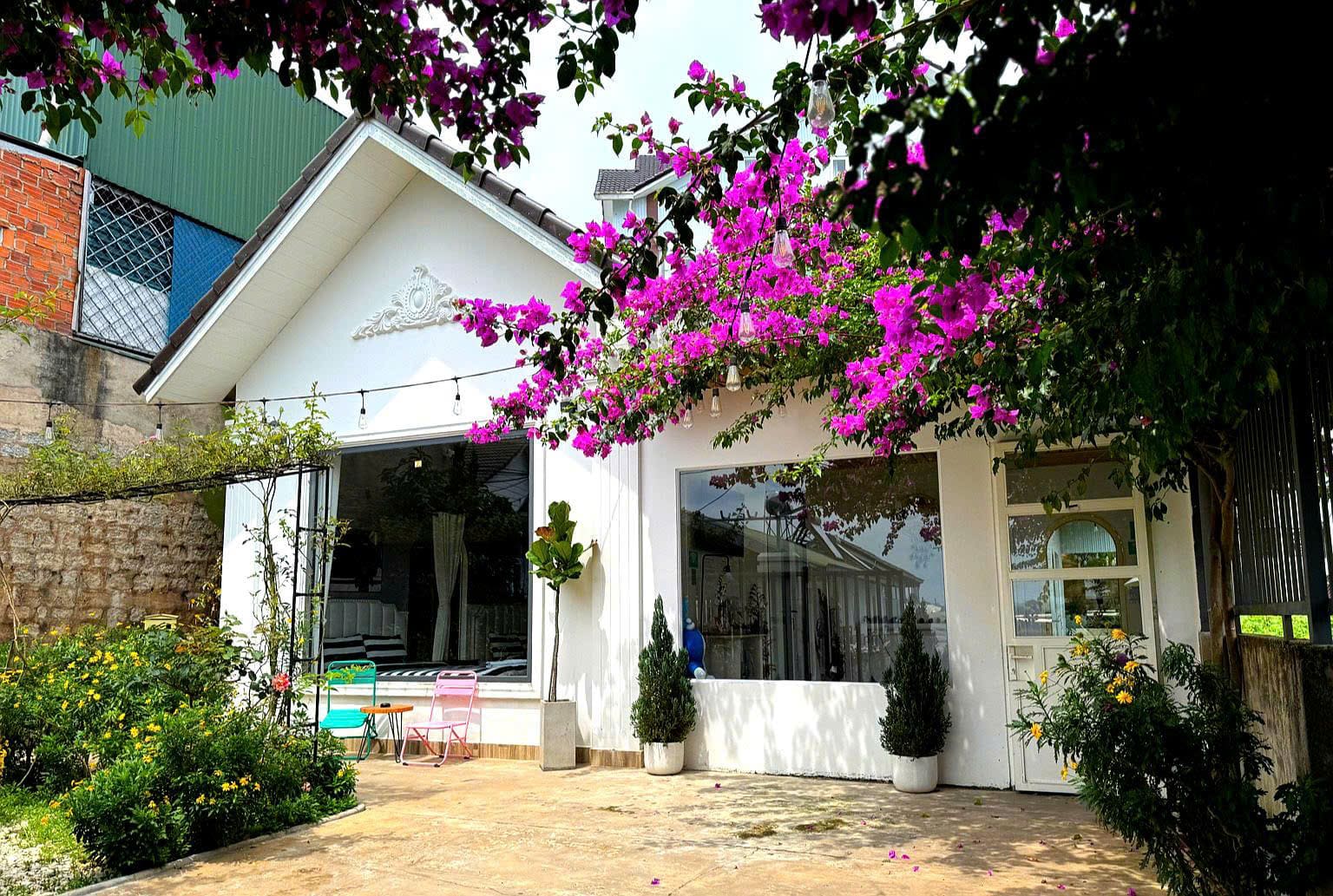 Casa House