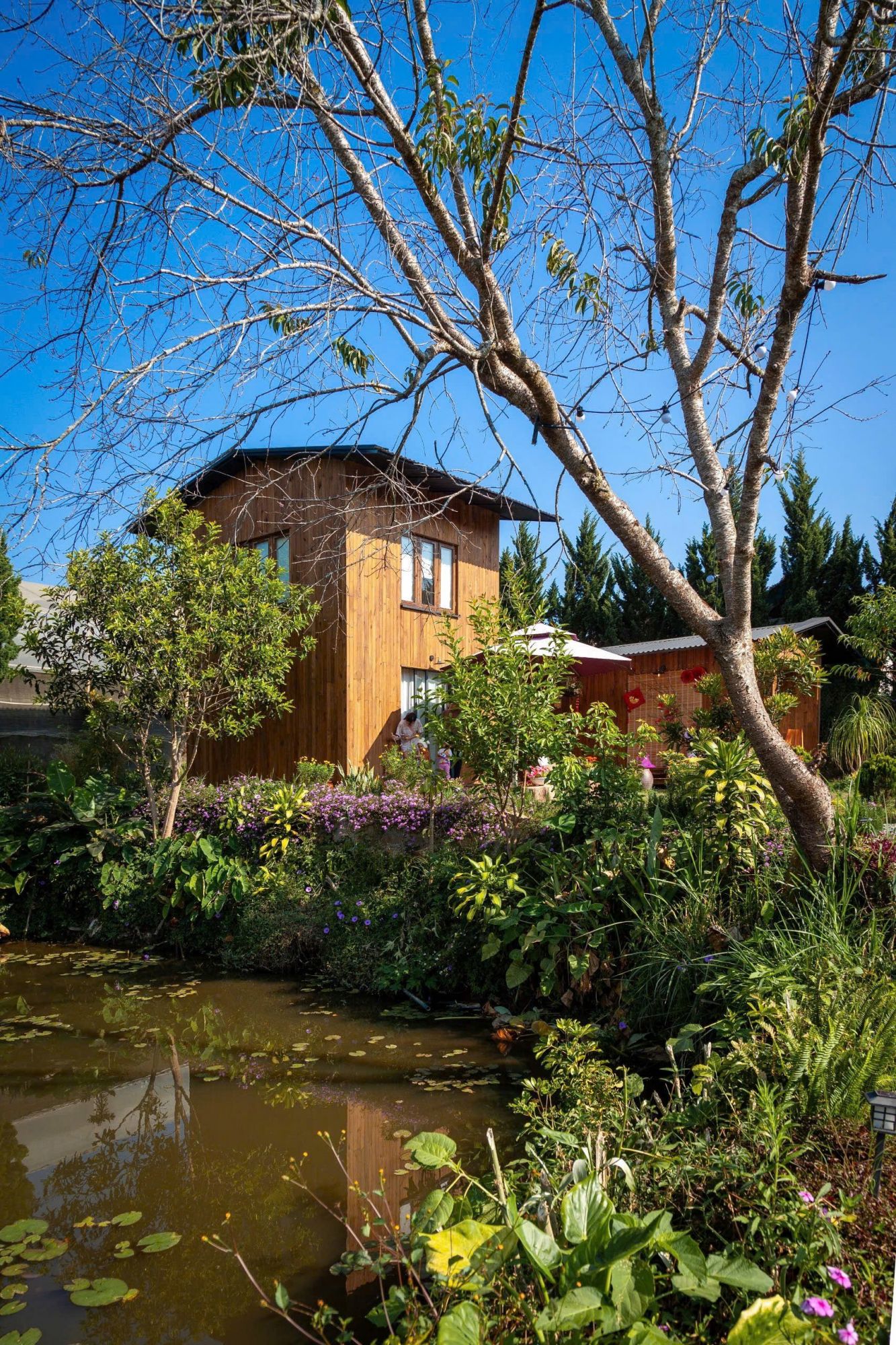 Dalaha Retreat