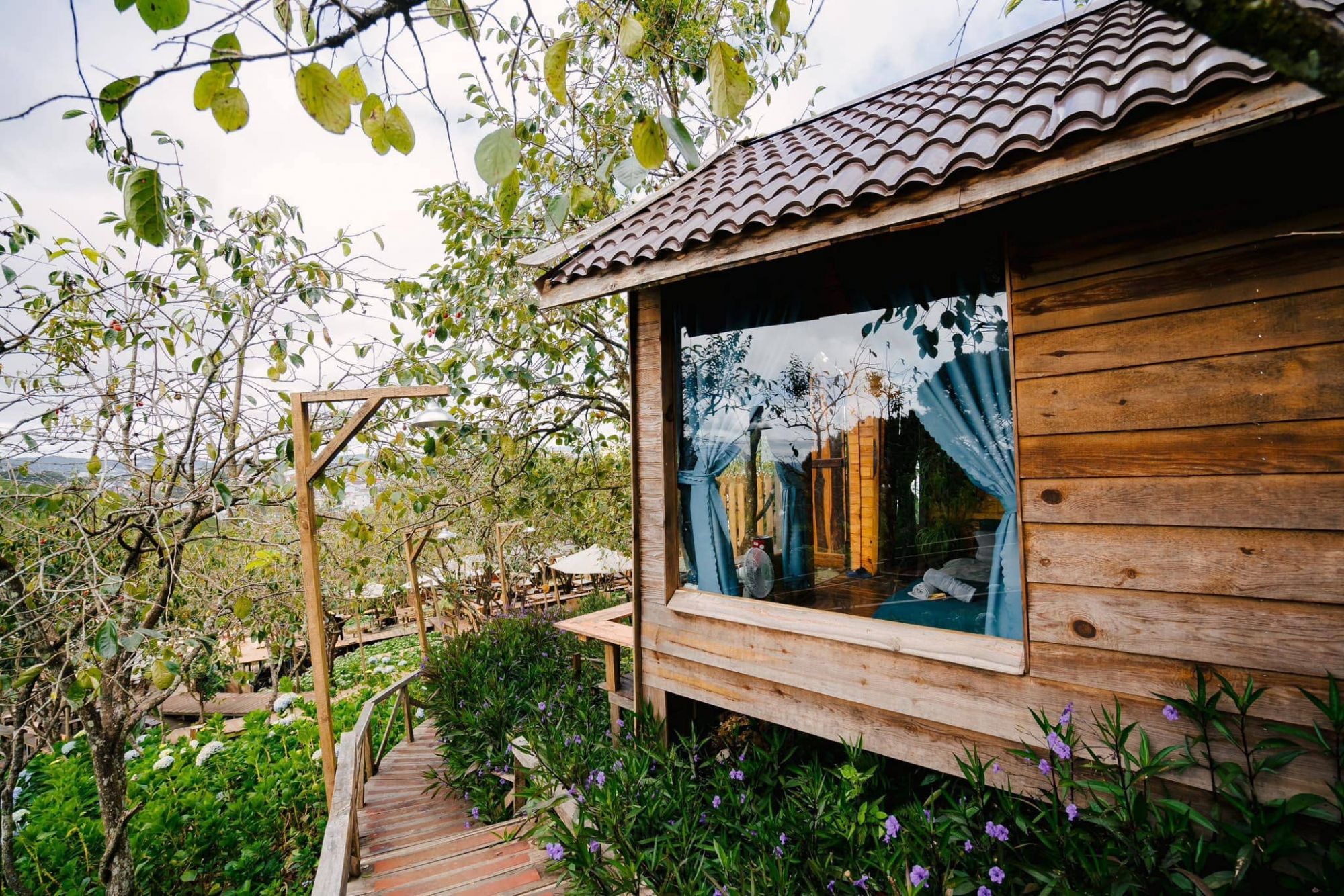 Persimmon farmstay Đà Lạt