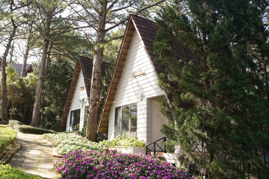 Đồi Mộng Mơ Resort