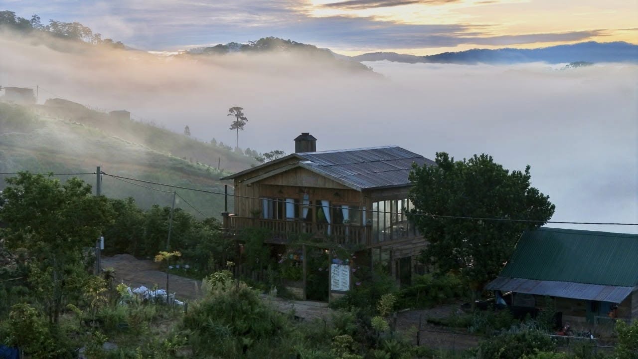 Mây Giữa Rừng coffee and glamping