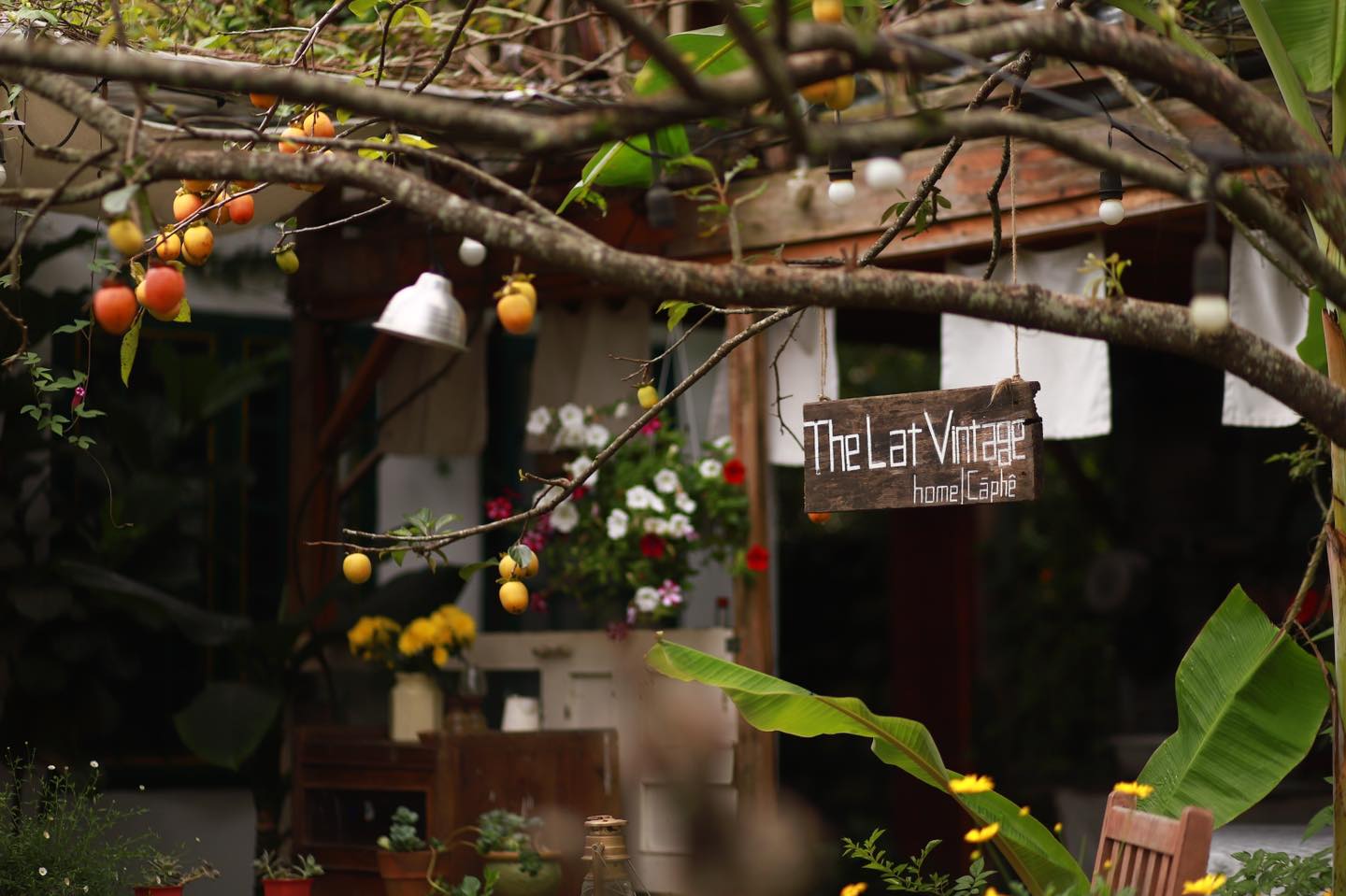 The Lạt Vintage