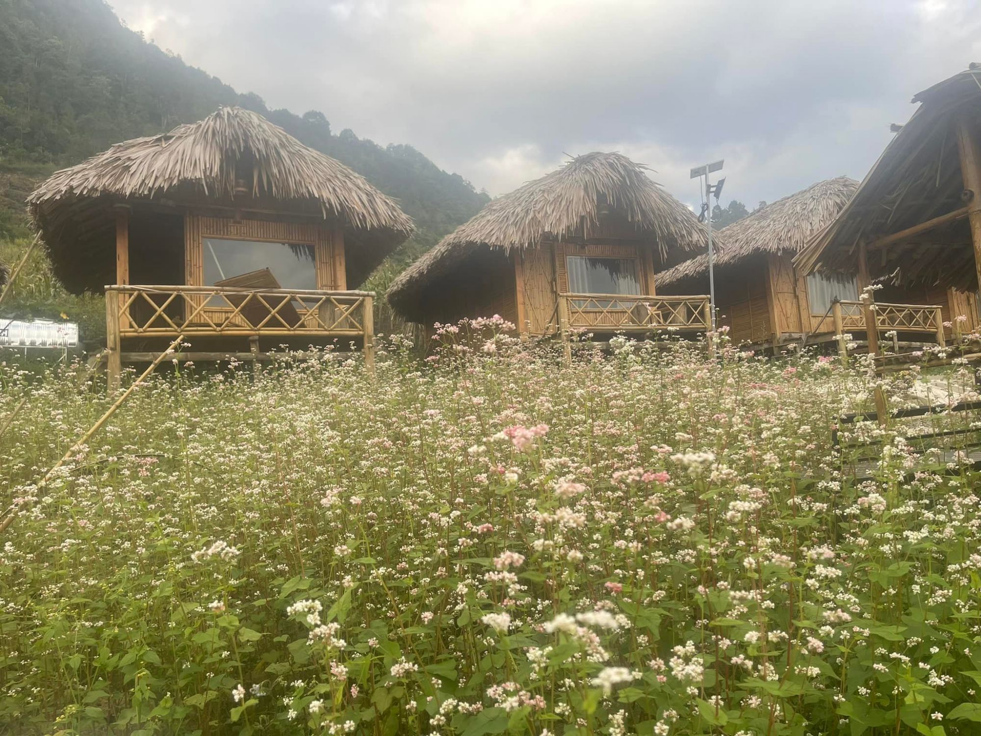 Lũng Cú Homestay