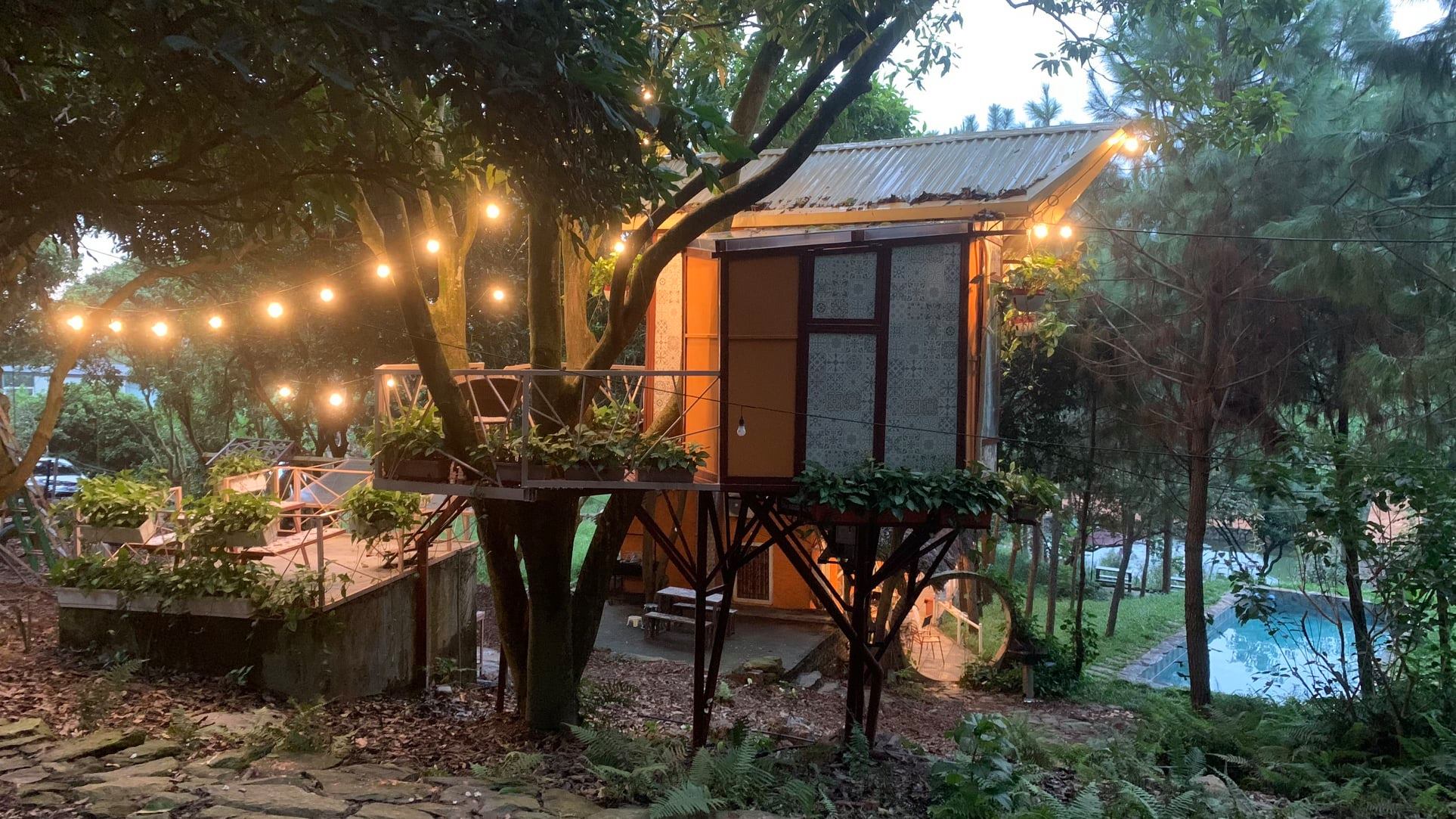 Aloha Valley - IVY House