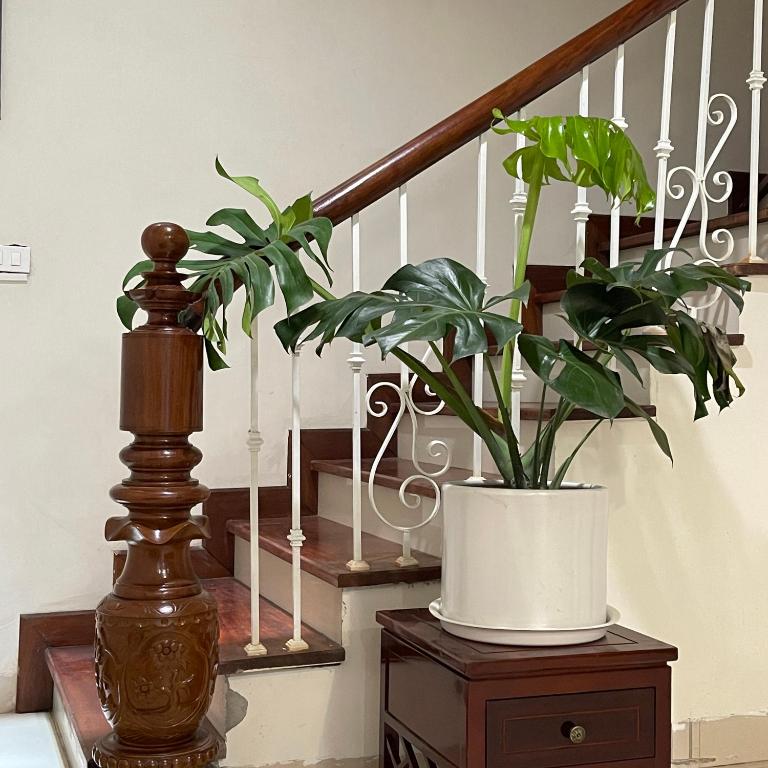 Dodo Home 3 - 612 Lạc Long Quân - Ảnh 6