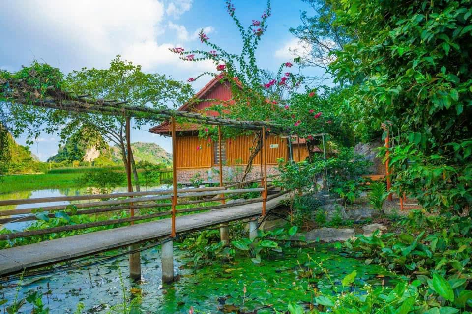 Lotus Field Homestay 