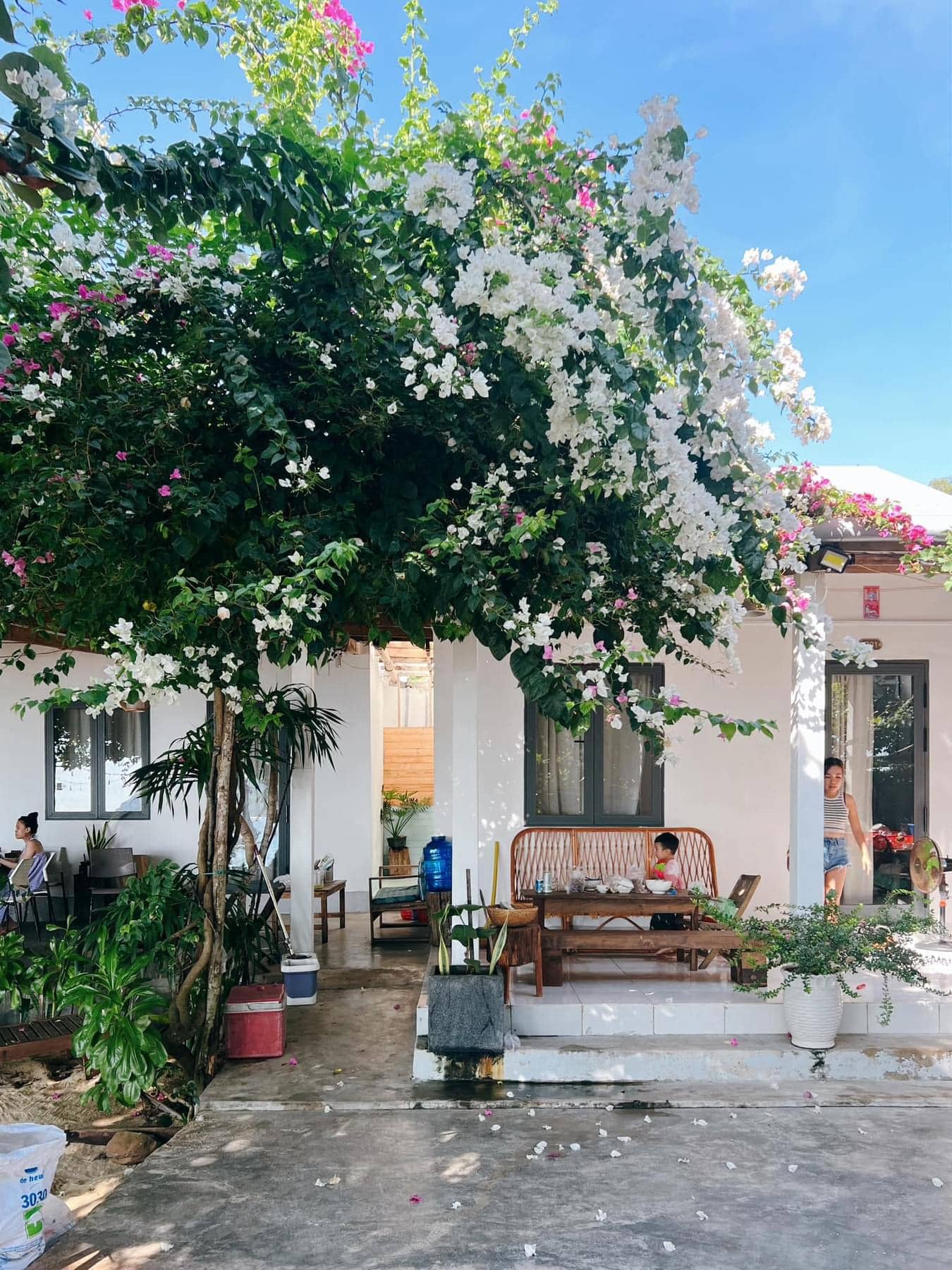 Ann Homestay - Cù Lao Mái Nhà