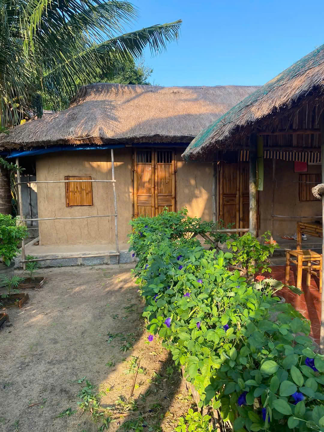 Homestay Giếng Cổ