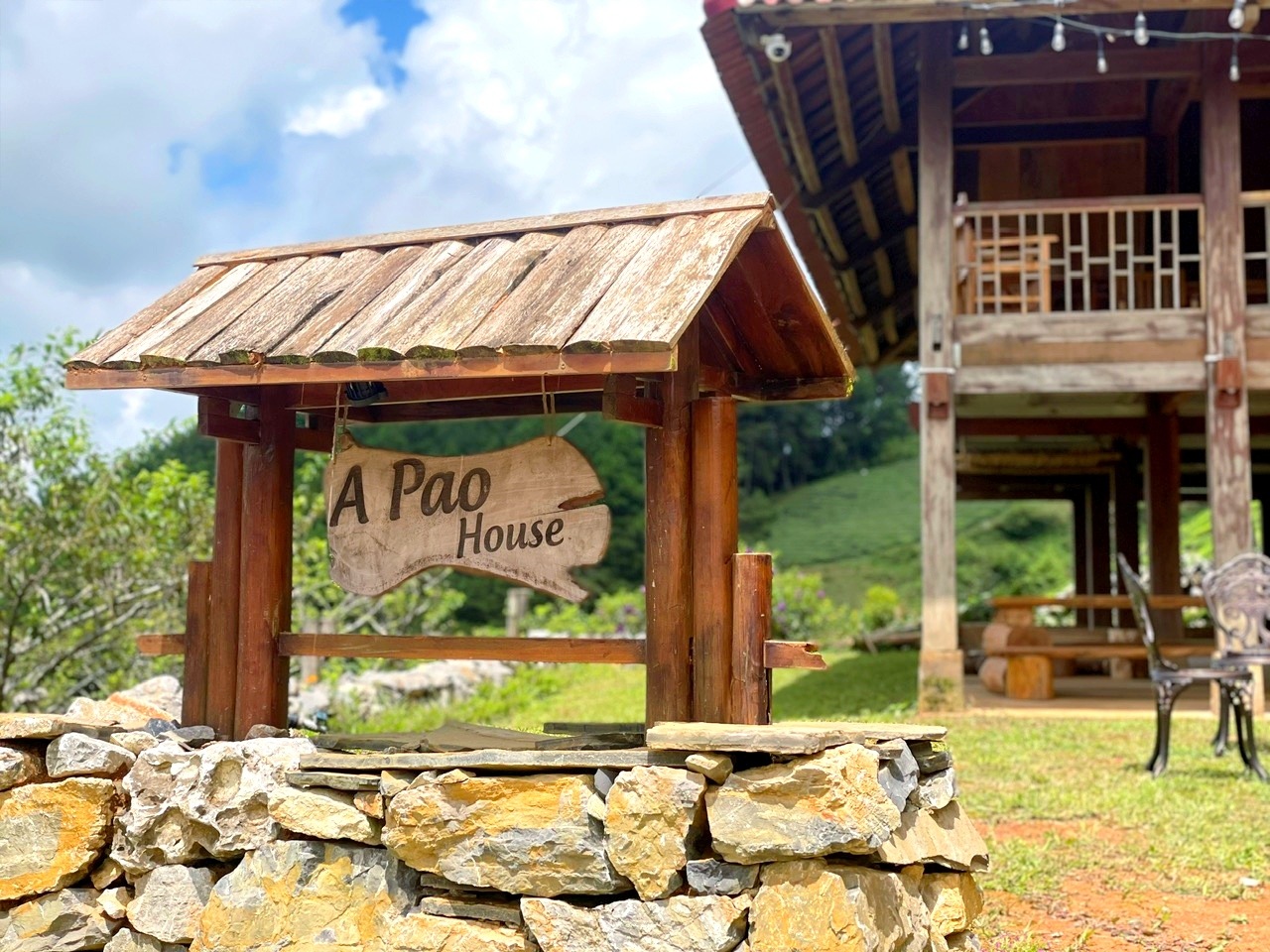 Vân Hồ Ecologde - Nhà gỗ đồi thông Apao's House