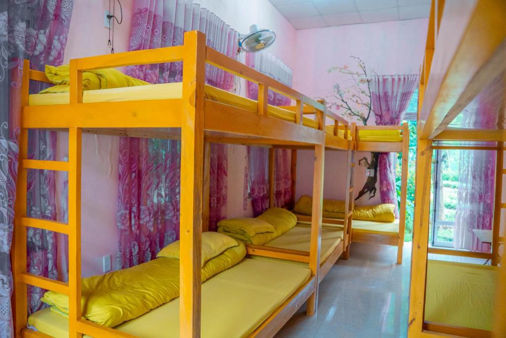 Phòng dorm 
