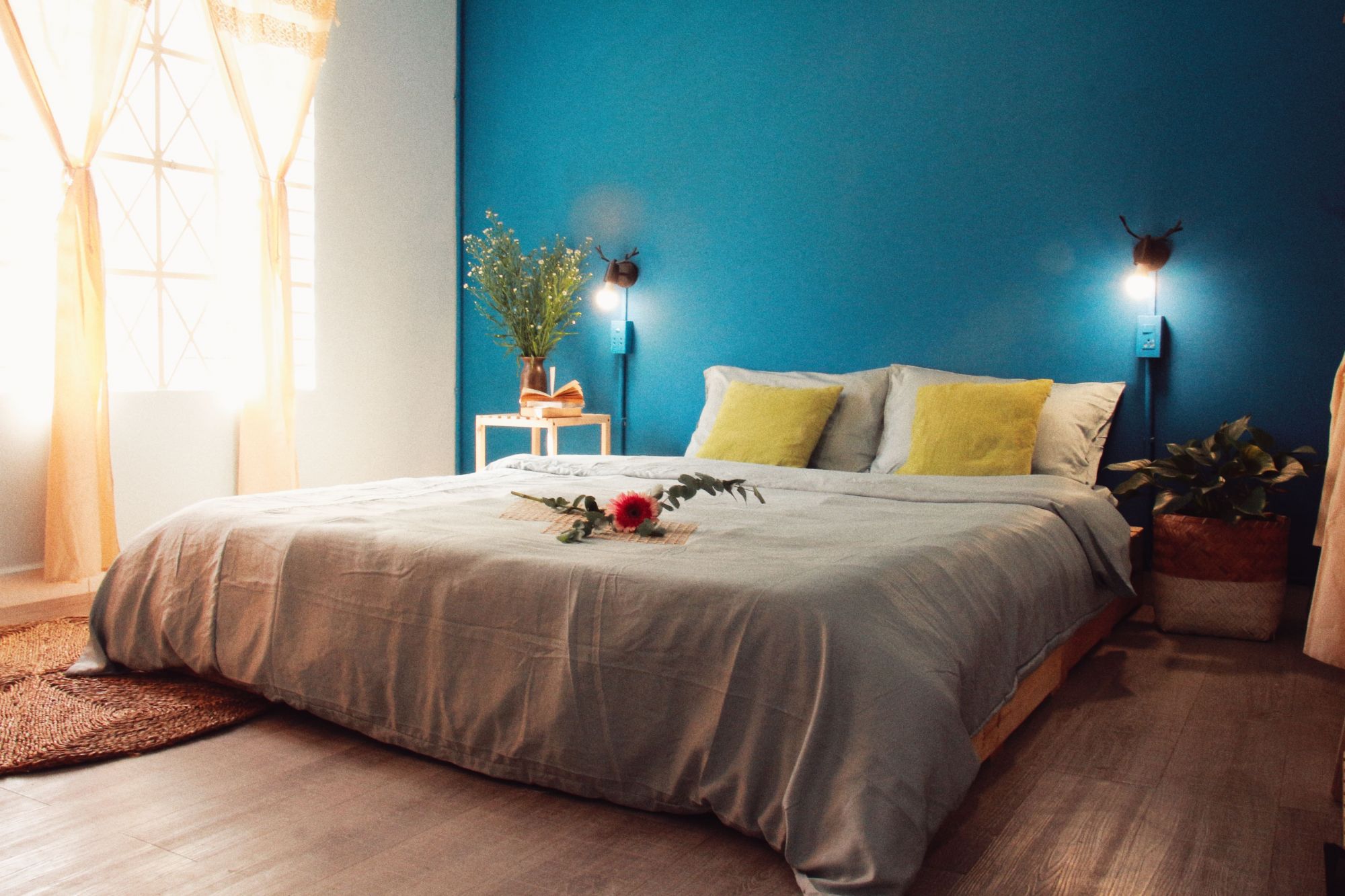 CoucouHomestead 1 - Catus