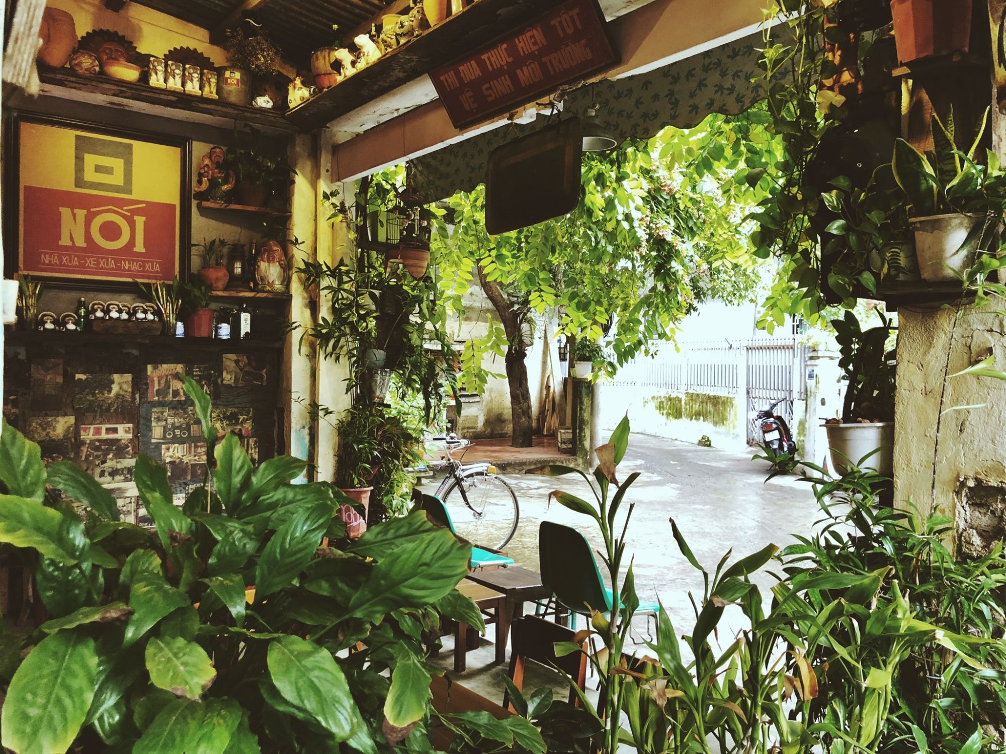 Nối café với không gian xanh mát