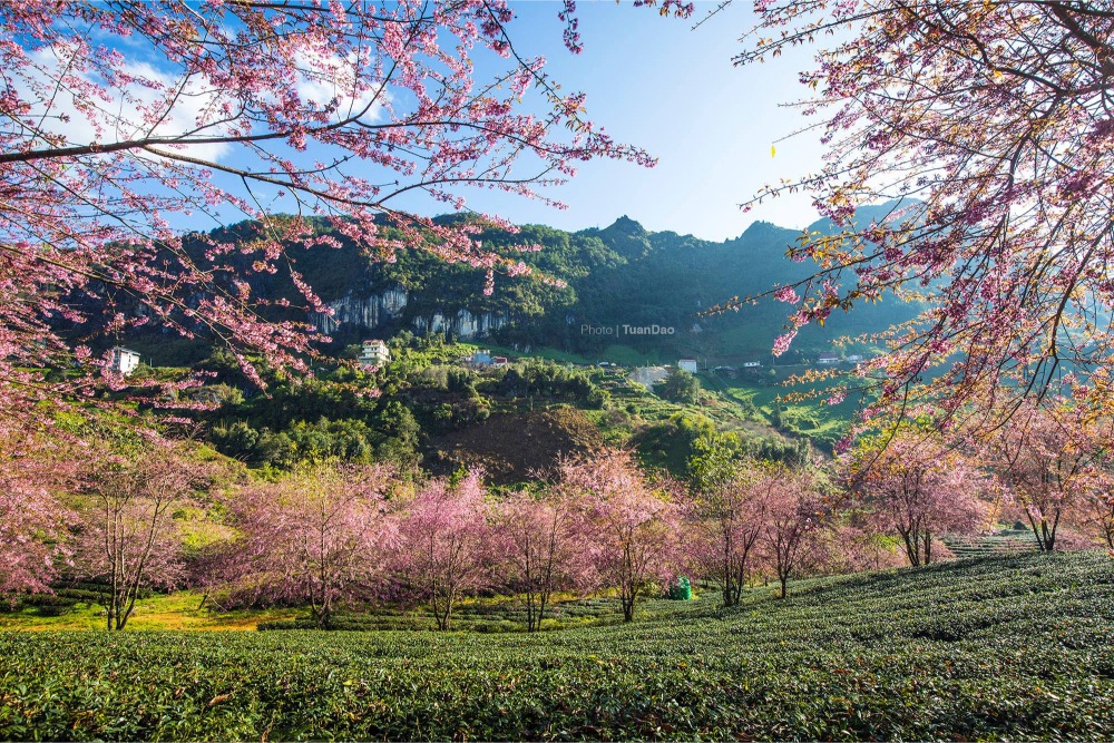 phong cảnh đẹp các địa điểm du lịch ở sapa