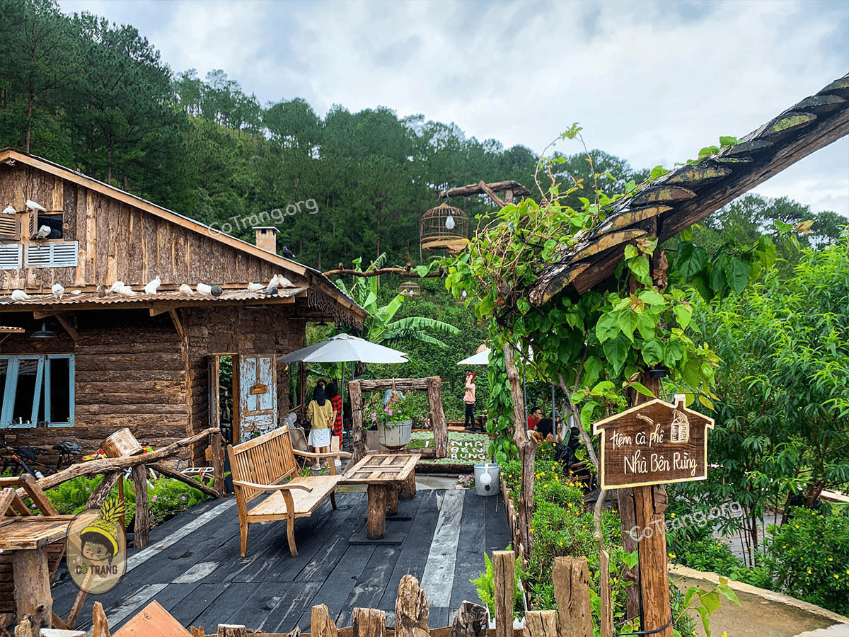 Top 15 quán cafe Đà Lạt view đẹp bạn nhất định phải ghé qua