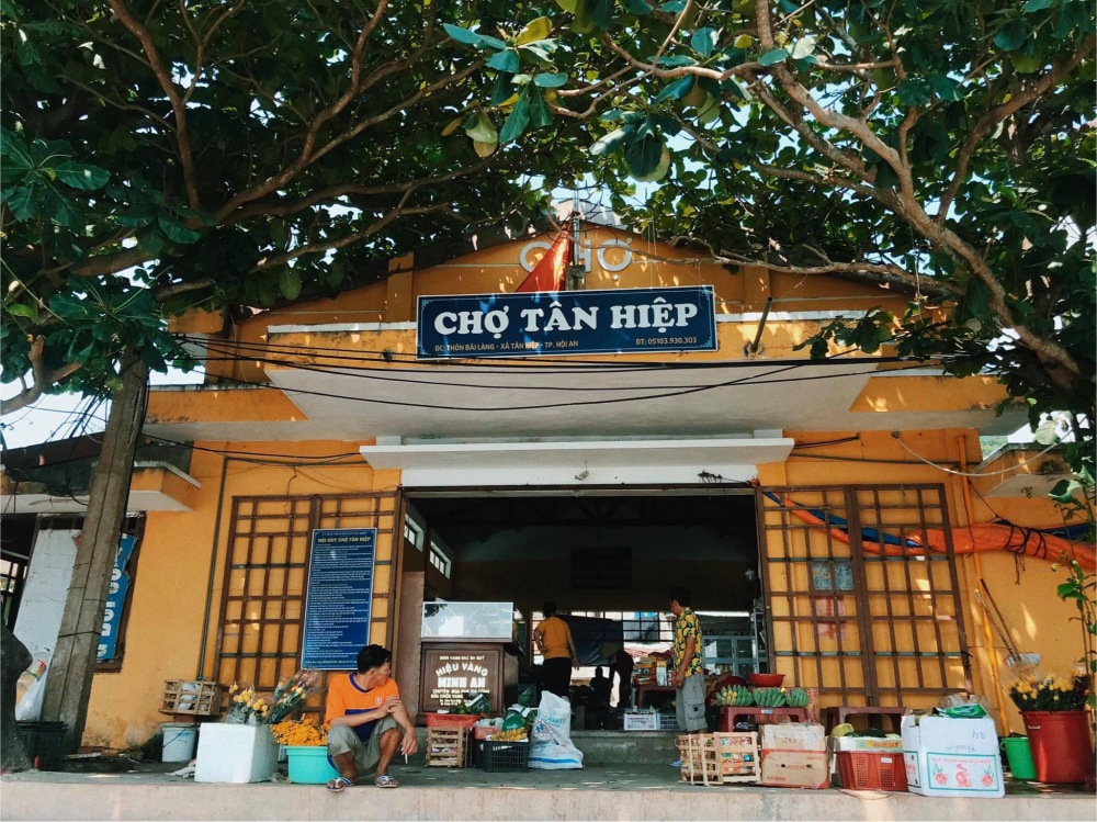 cù lao chàm có gì đẹp