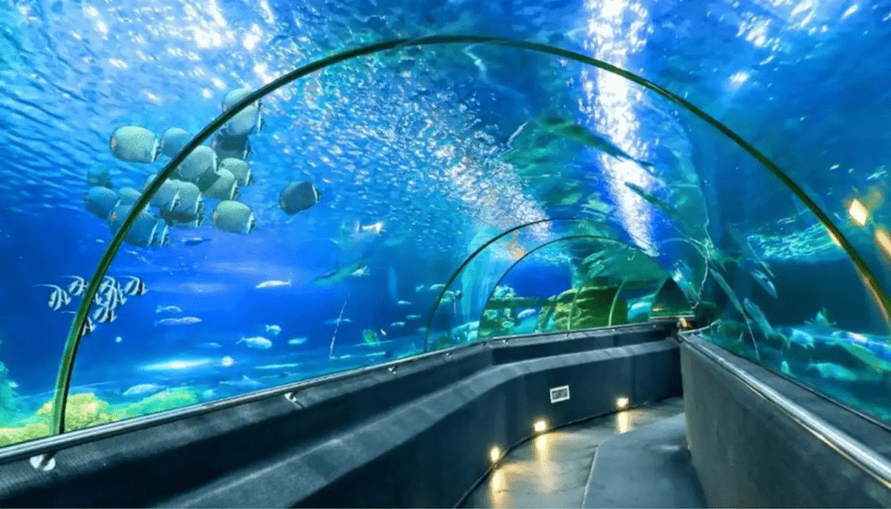 khu du lịch nha trang khánh hòa