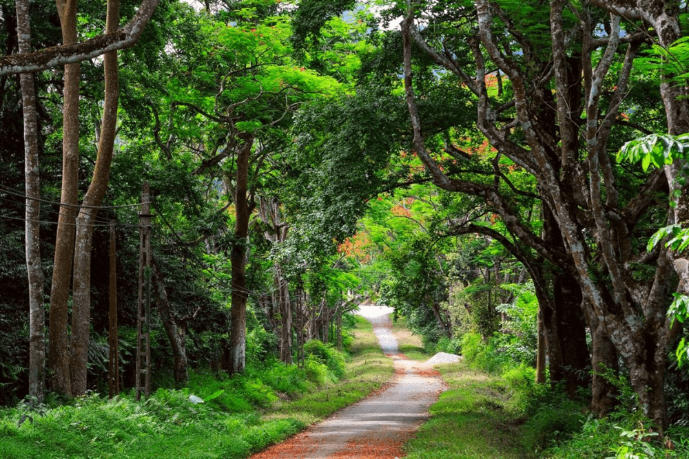 10 địa điểm du lịch ở ninh bình