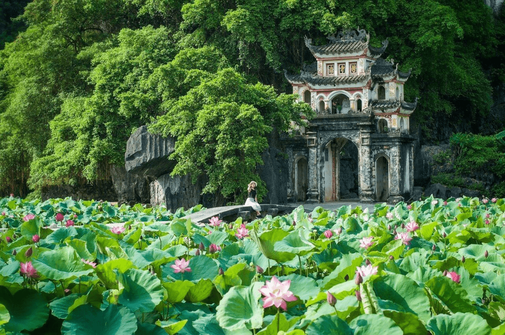 lịch trình du lịch ninh bình 3 ngày 2 đêm