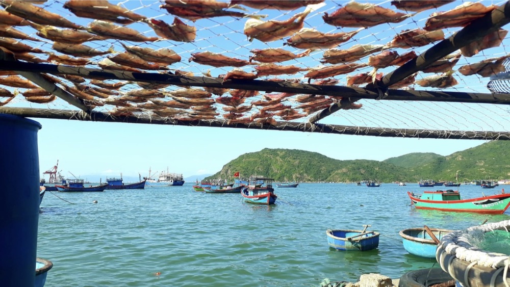 du lịch quy nhơn nên đi đâu