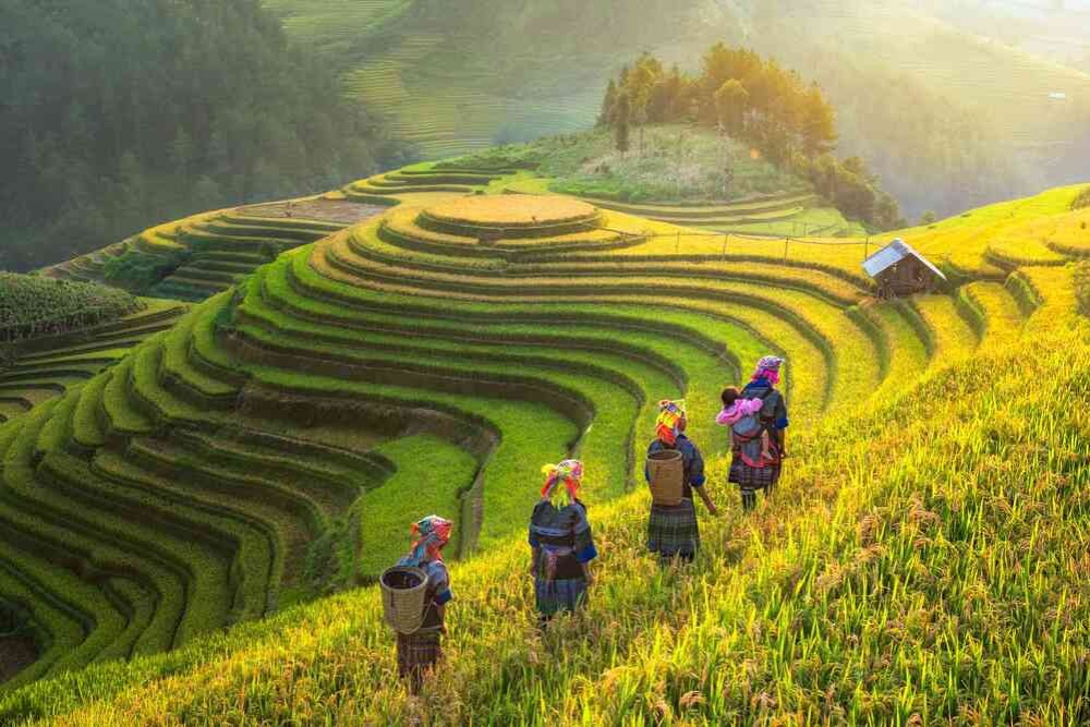 tour du lịch lào cai sapa 2 ngày 1 đêm