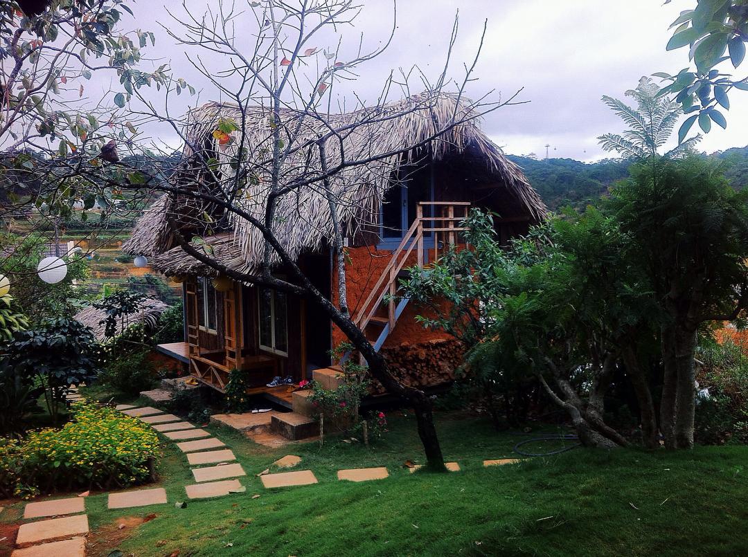 củi homestay đà lạt