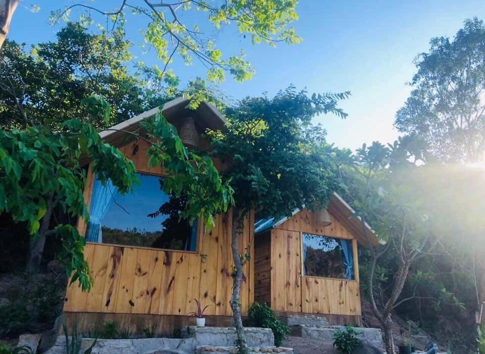 mèo homestay cam ranh