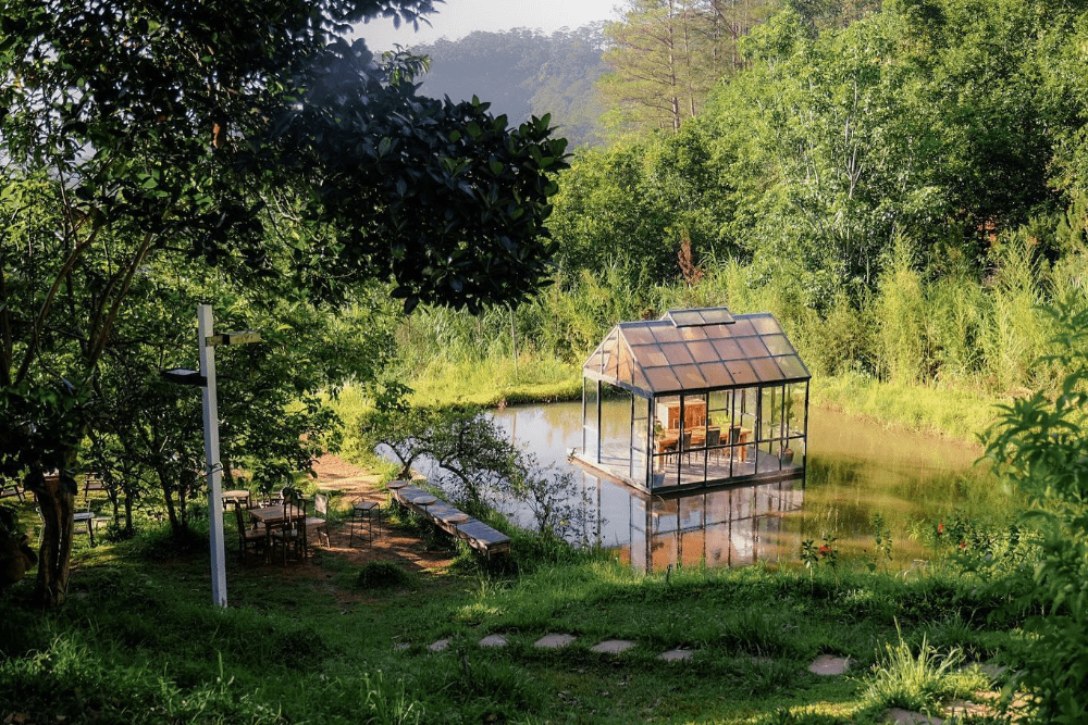homestay đà lạt view đẹp gần trung tâm
