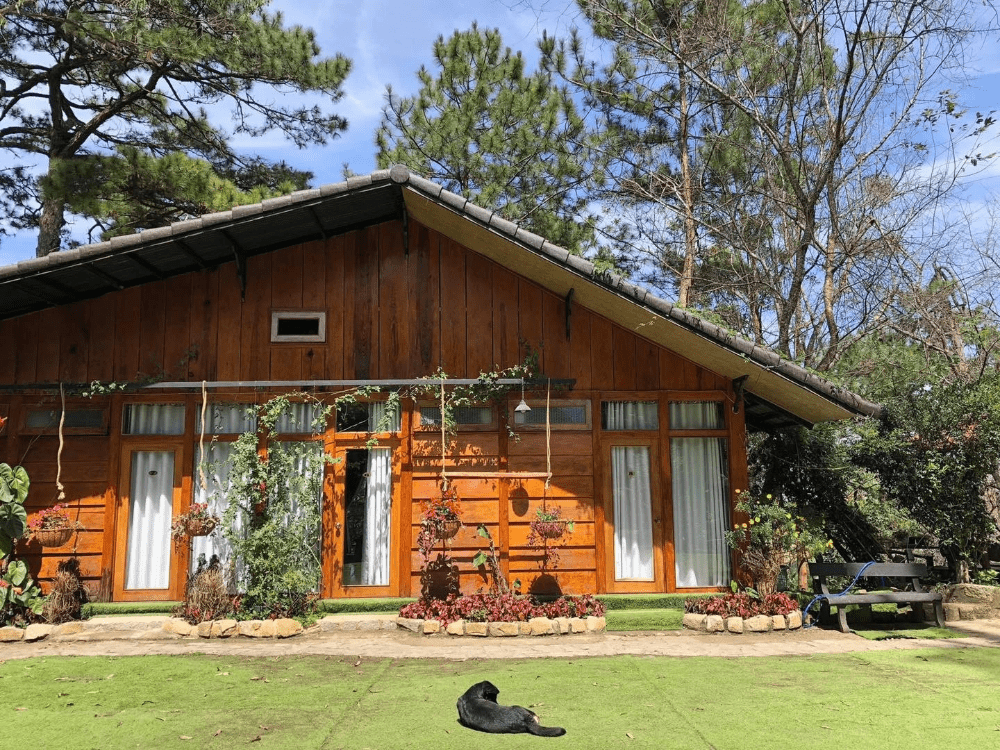 Top 10 homestay Đà Lạt gần trung tâm view đẹp, giá rẻ nhất 2025