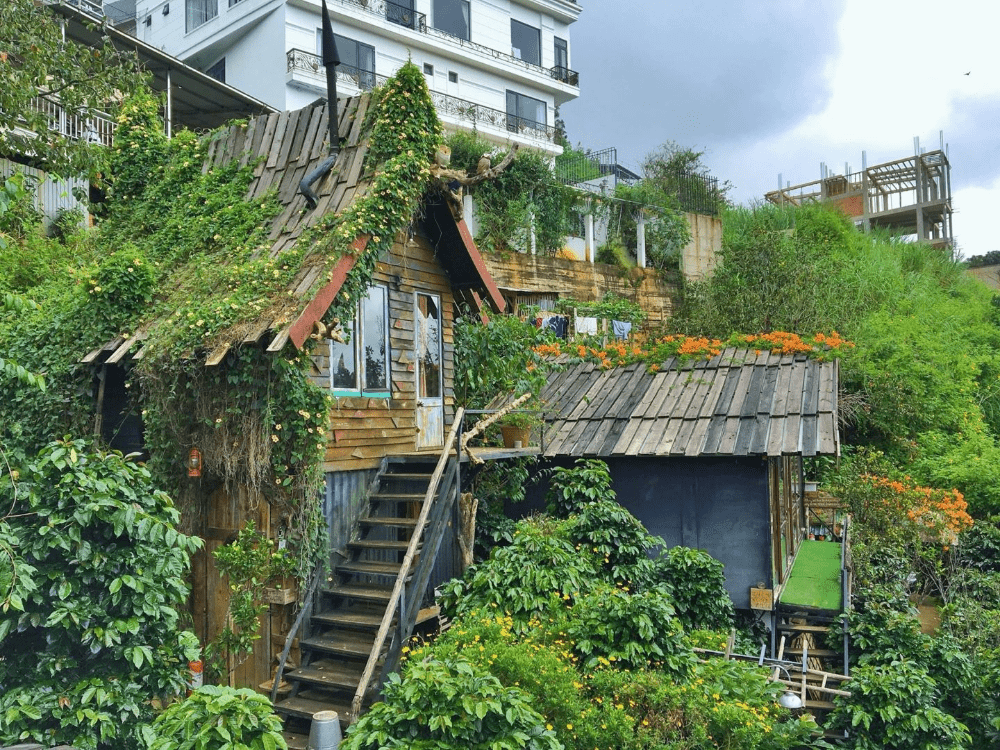 cú trên cây homestay đà lạt đẹp gần trung tâm