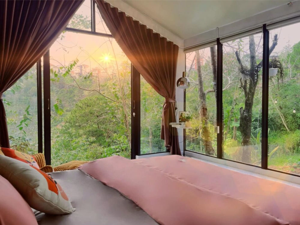 homestay đà lạt view đẹp