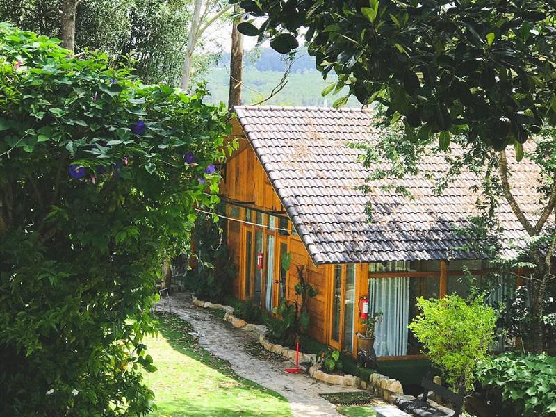 Top 10 homestay Đà Lạt view rừng thông đẹp lý tưởng nhất