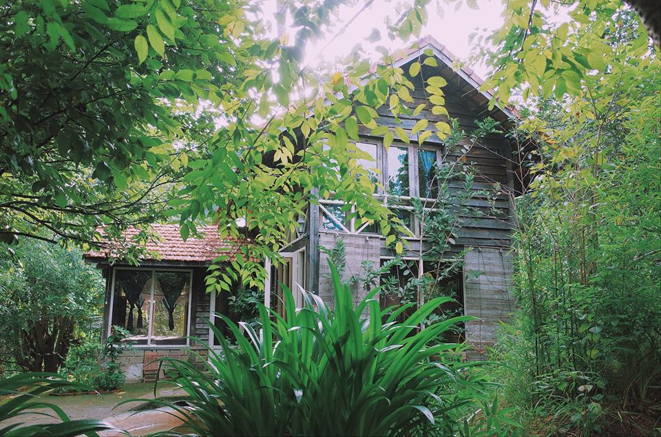 homestay view rừng thông đà lạt