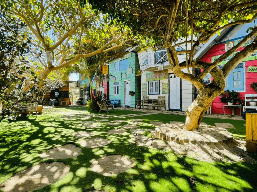 xóm homestay view rừng ở đà lạt