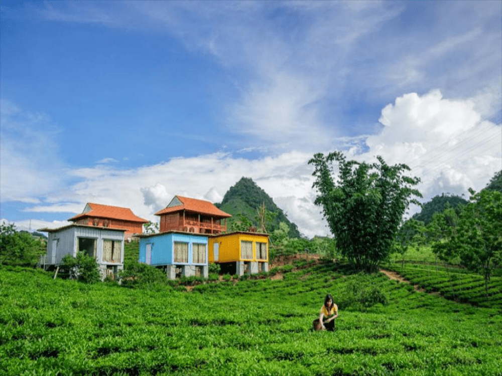 arena village homestay mộc châu