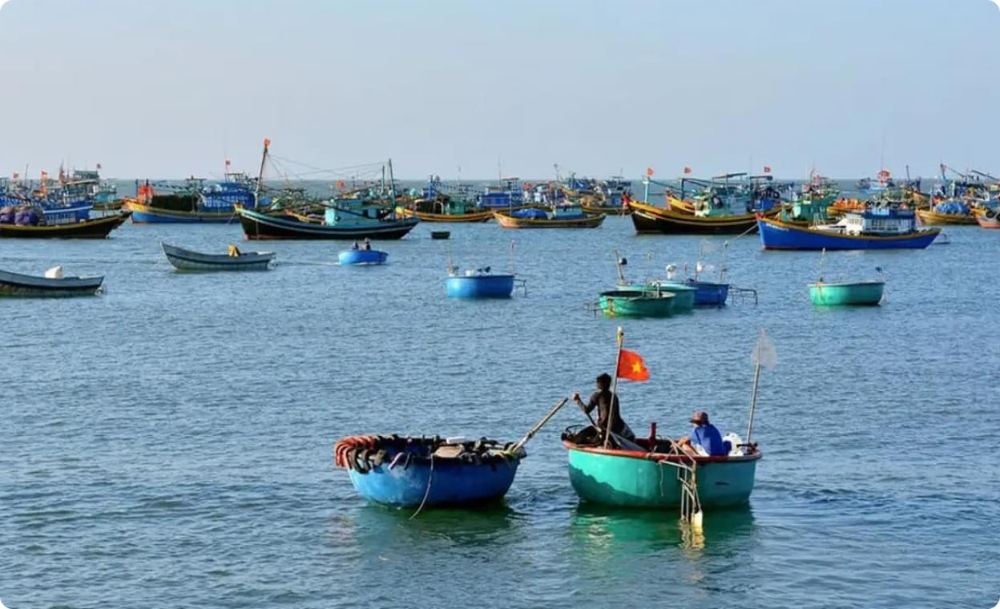 Làng chài Phước Hải: Ở đâu, ăn gì, lưu ý khi đi du lịch