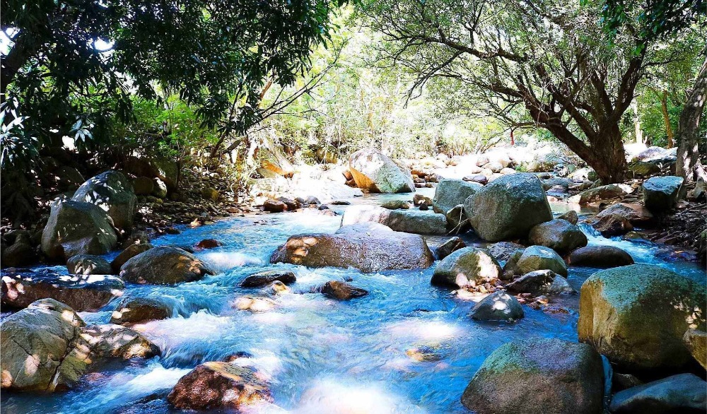 du lịch làng chài vĩnh hy