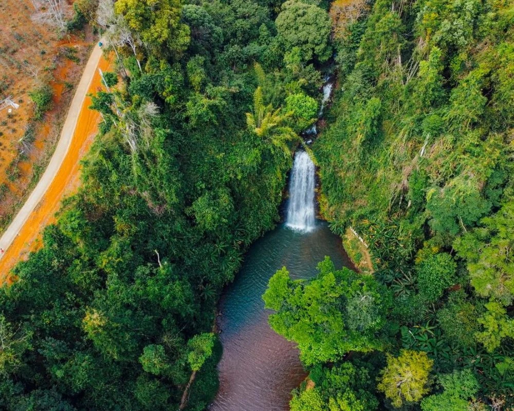 măng đen có gì vui