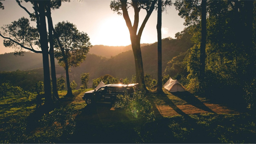 măng đen có gì hay