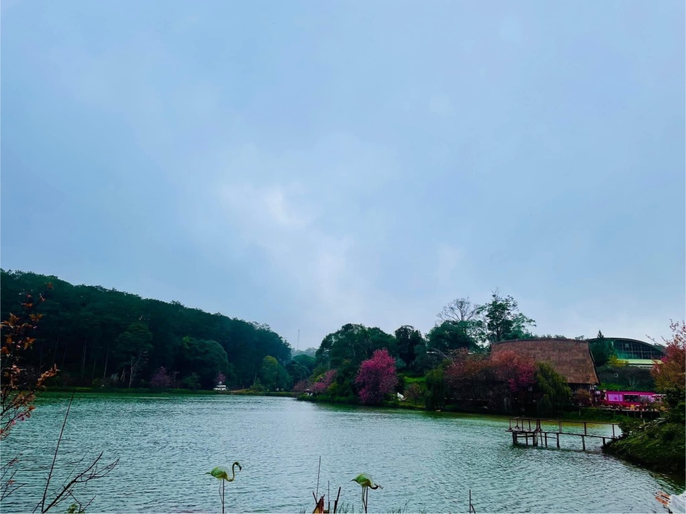 đi măng đen chơi gì